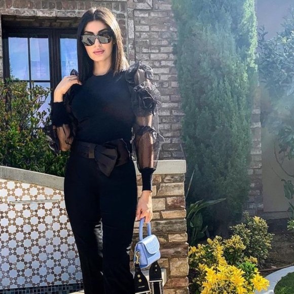 Zara Sweater with Organza Sleeves - Picture 3 of 8